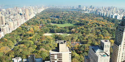Stroll through beautiful Central Park